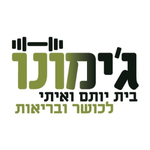 לוגו הסטודיו